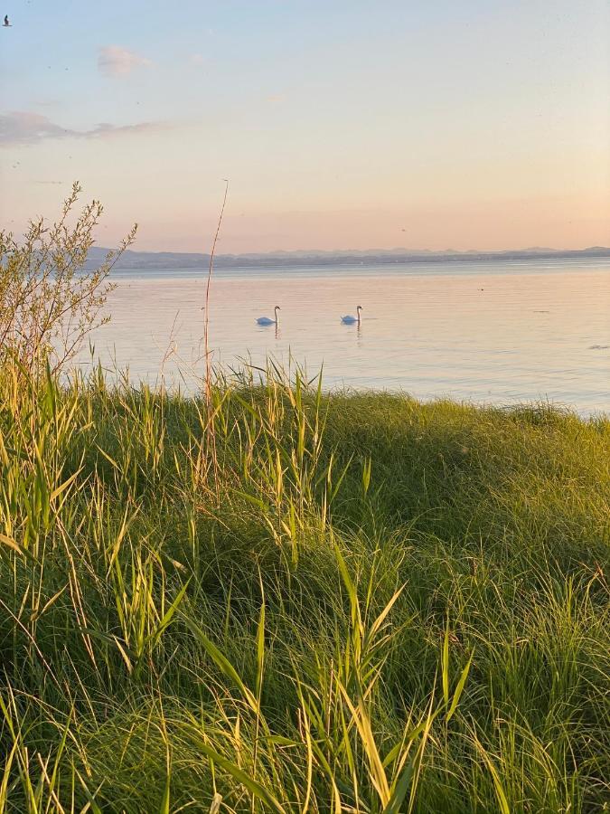 Wohlfuehl-Apartment Sandmuschel Im Naturschutzgebiet Mit Privatstrand FDH المظهر الخارجي الصورة